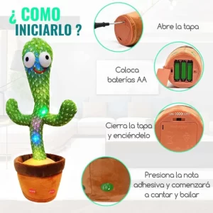 cactus-bailarin-instrucciones